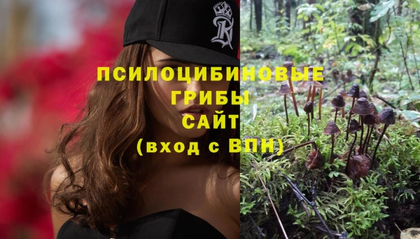 амф Кодинск