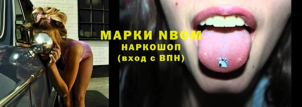 шишки Козельск