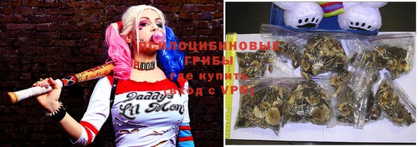 амф Кодинск