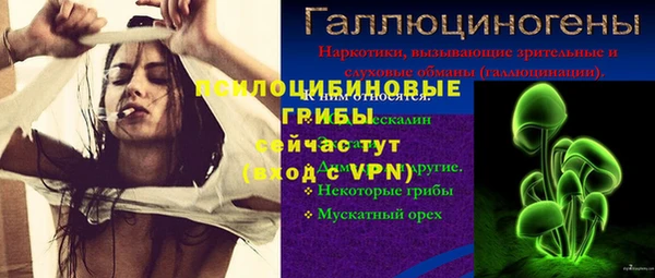 шишки Козельск